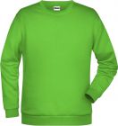 James & Nicholson | JN 794 | Herren Sweater